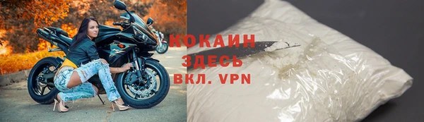 прущие грибы Володарск