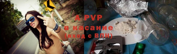 спиды Пересвет