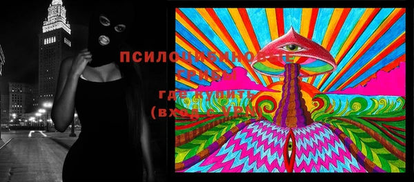 прущие грибы Володарск