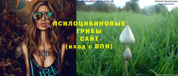 герыч Вяземский